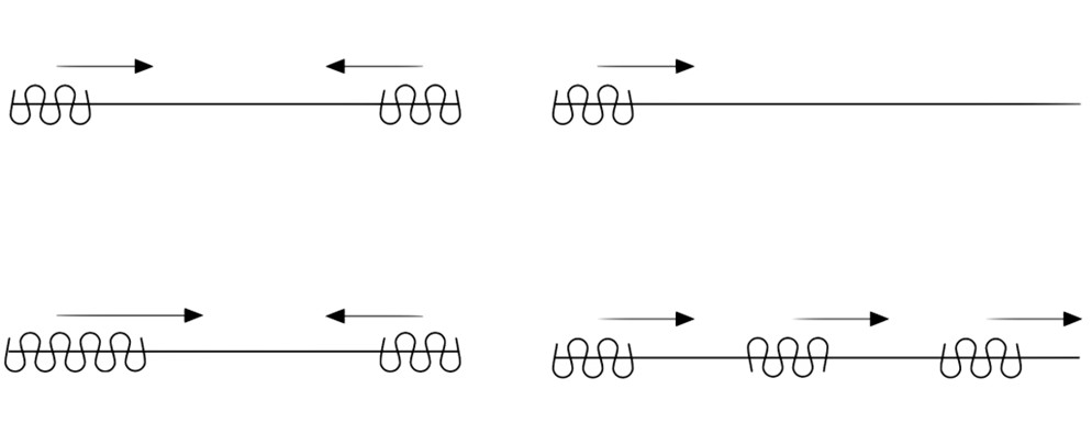 Schemat pokazuje fale mechaniczne z różnymi kierunkami siły i zwojami na linii.